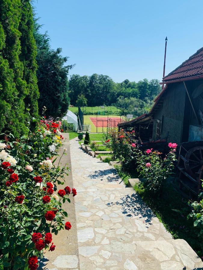 Alex & Maria Hotel Carpinisu Luaran gambar