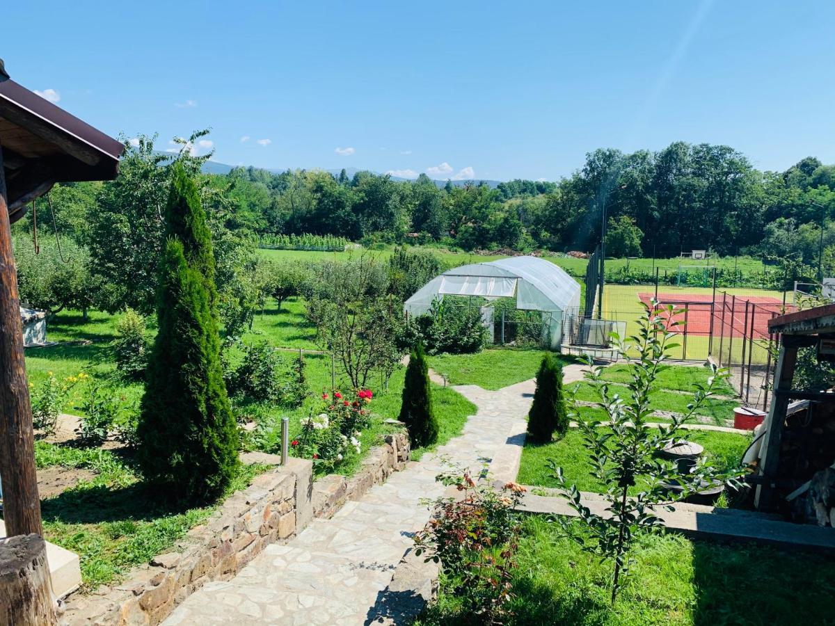 Alex & Maria Hotel Carpinisu Luaran gambar